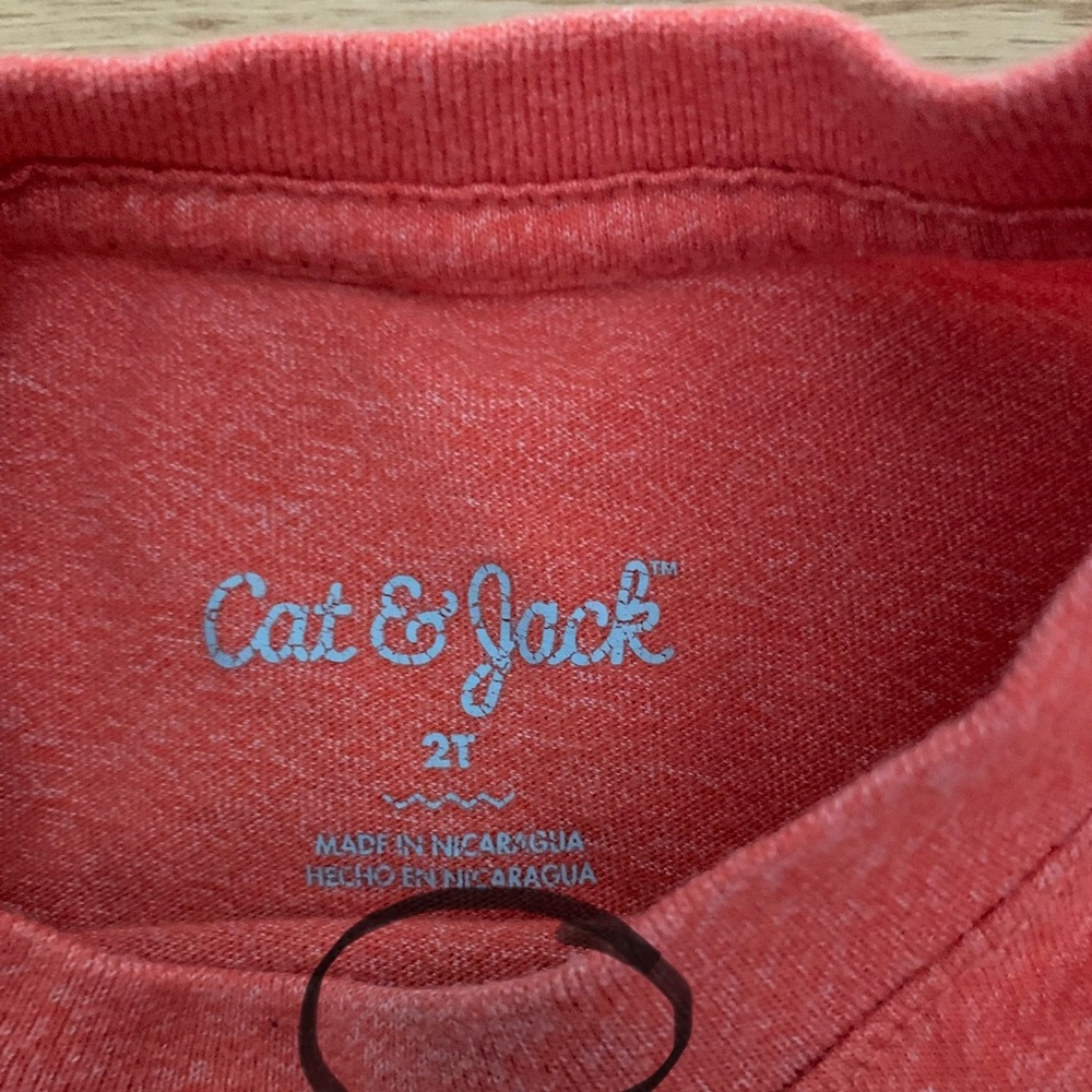 2t t-shirt bundle - Picture 9 of 12